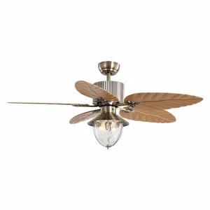 Home Decorative Fan & Lights